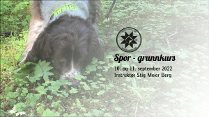 Annonse spor - grunnkurs