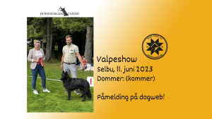 Valpeshow i Selbu