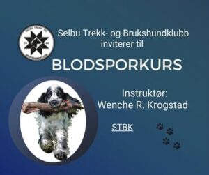 Blodsporkurs - STBK mai 2025